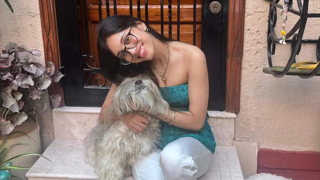 Climate-Conscious Pet Grooming for Indian Pet Parents