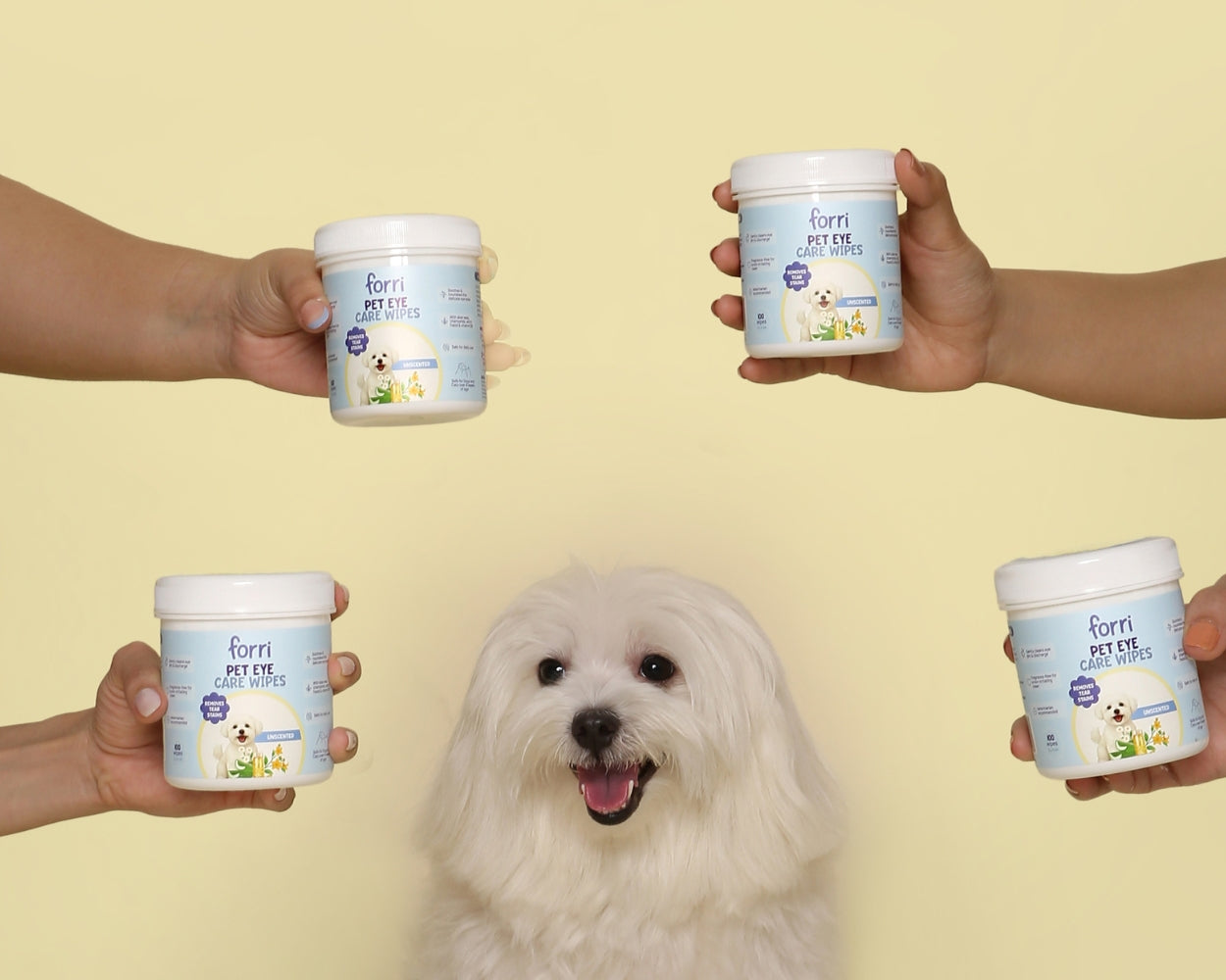 Tear Stains & Eye Goop