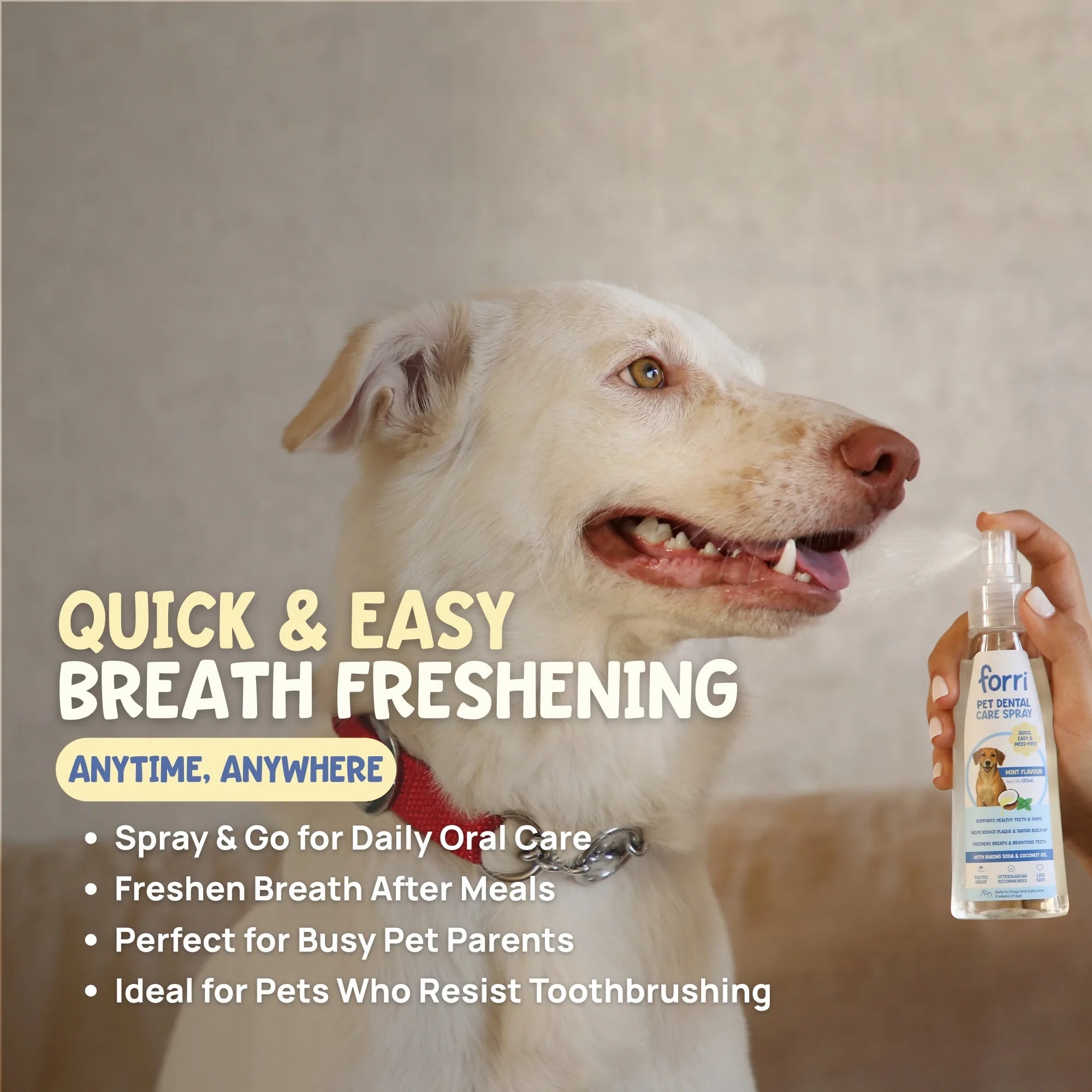 Quick and easy breath freshening spray for pets, ideal for busy pet parents and daily oral hygiene after meals.
