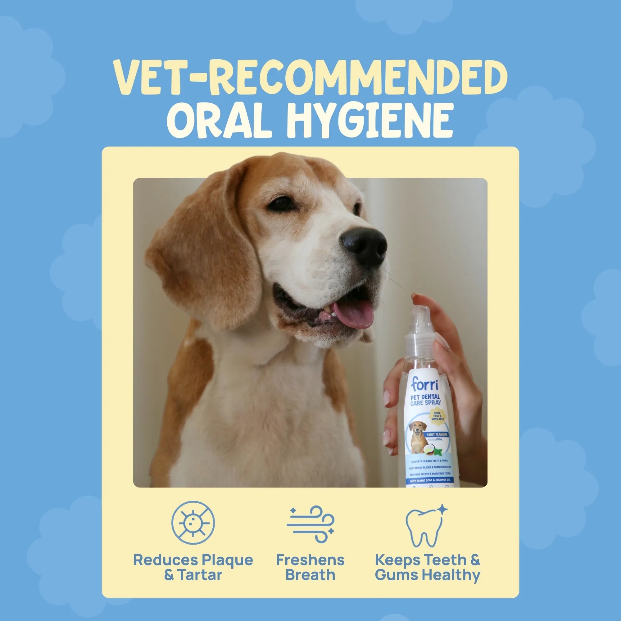 Forri dental spray for Beagles and other breeds to reduce plaque, tartar, and keep pet teeth and gums healthy.