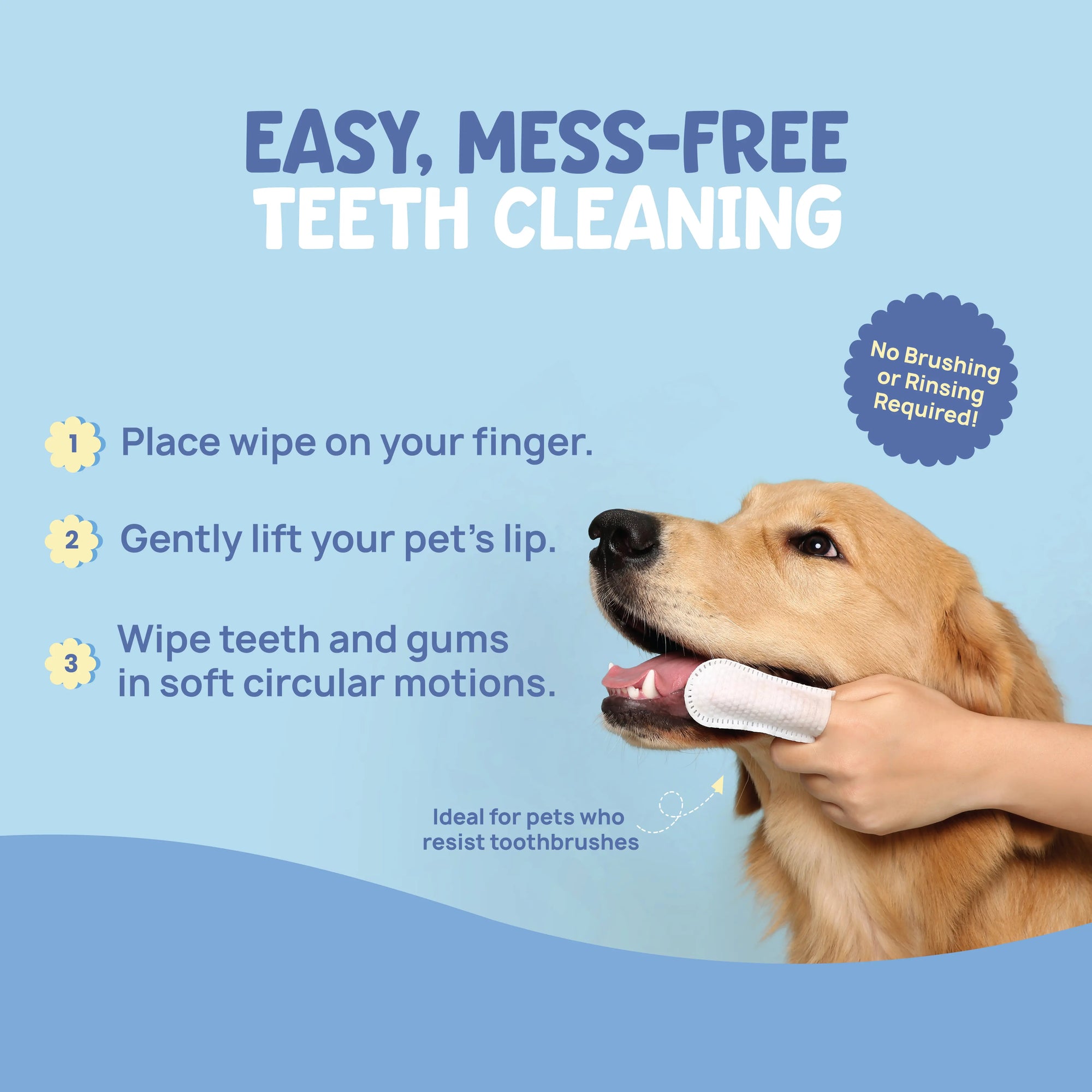 How to clean dog teeth without a toothbrush using Forri dental finger wipes; no rinsing or brushing required.