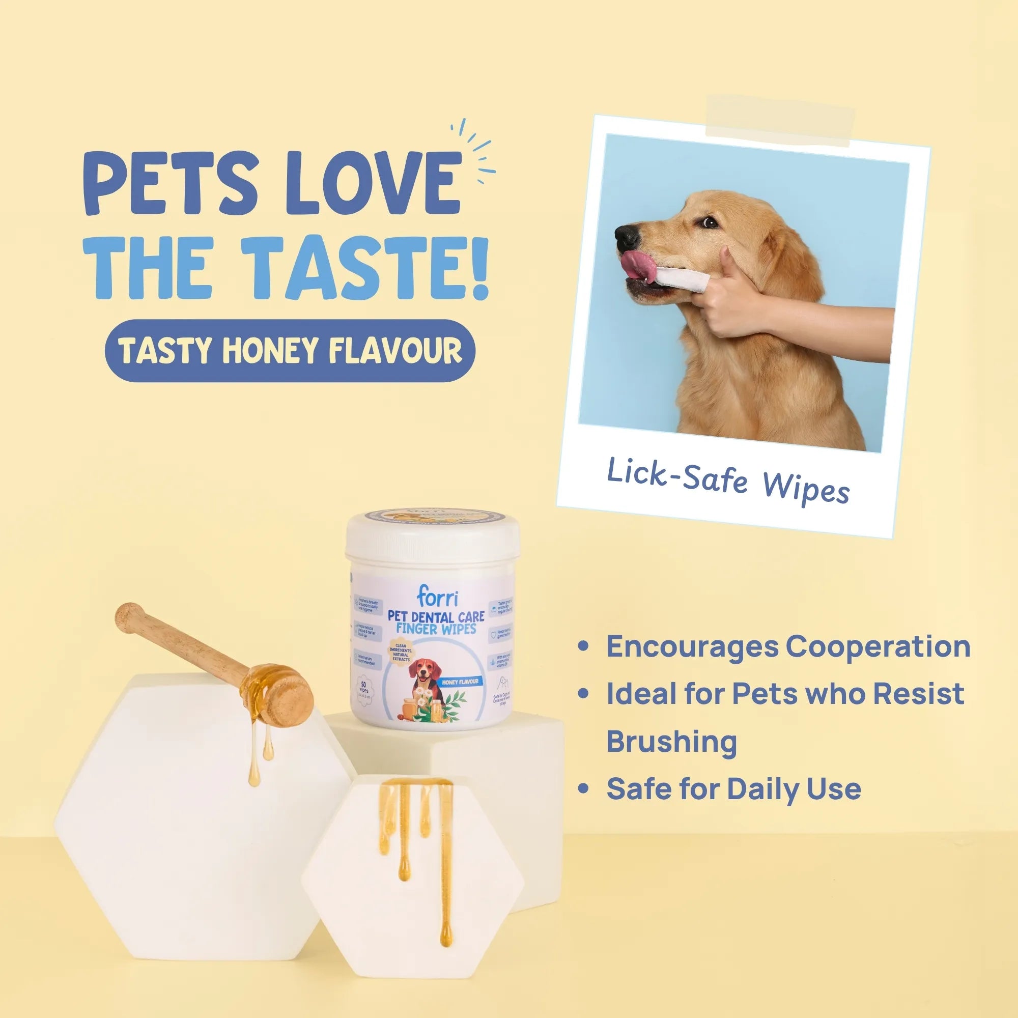 Golden Retriever enjoying the tasty honey flavour of Forri dental wipes, safe for daily use and easy pet cooperation.