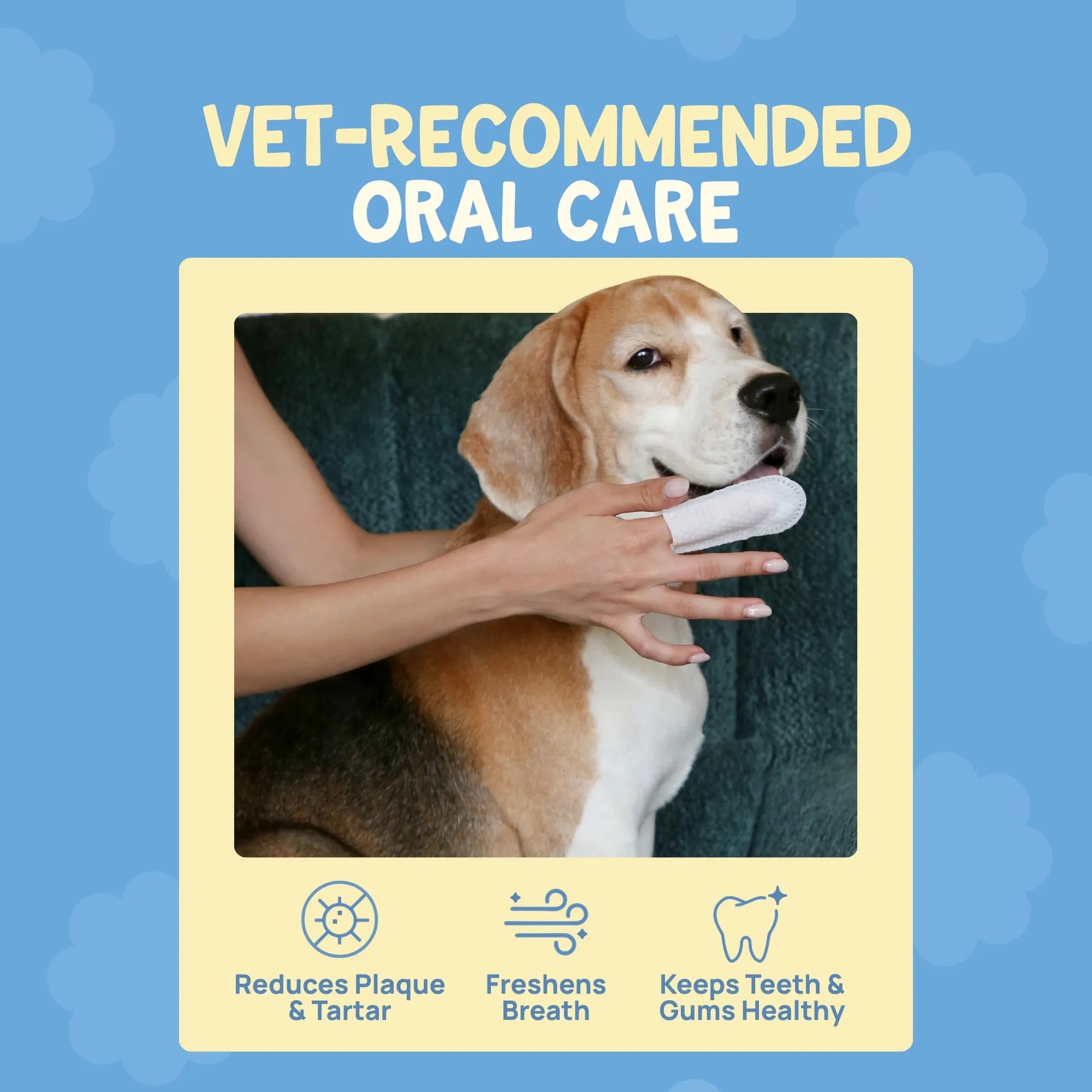 Dog's teeth being cleaned with a finger wipe by a person with text about vet-recommended oral care on a blue background.