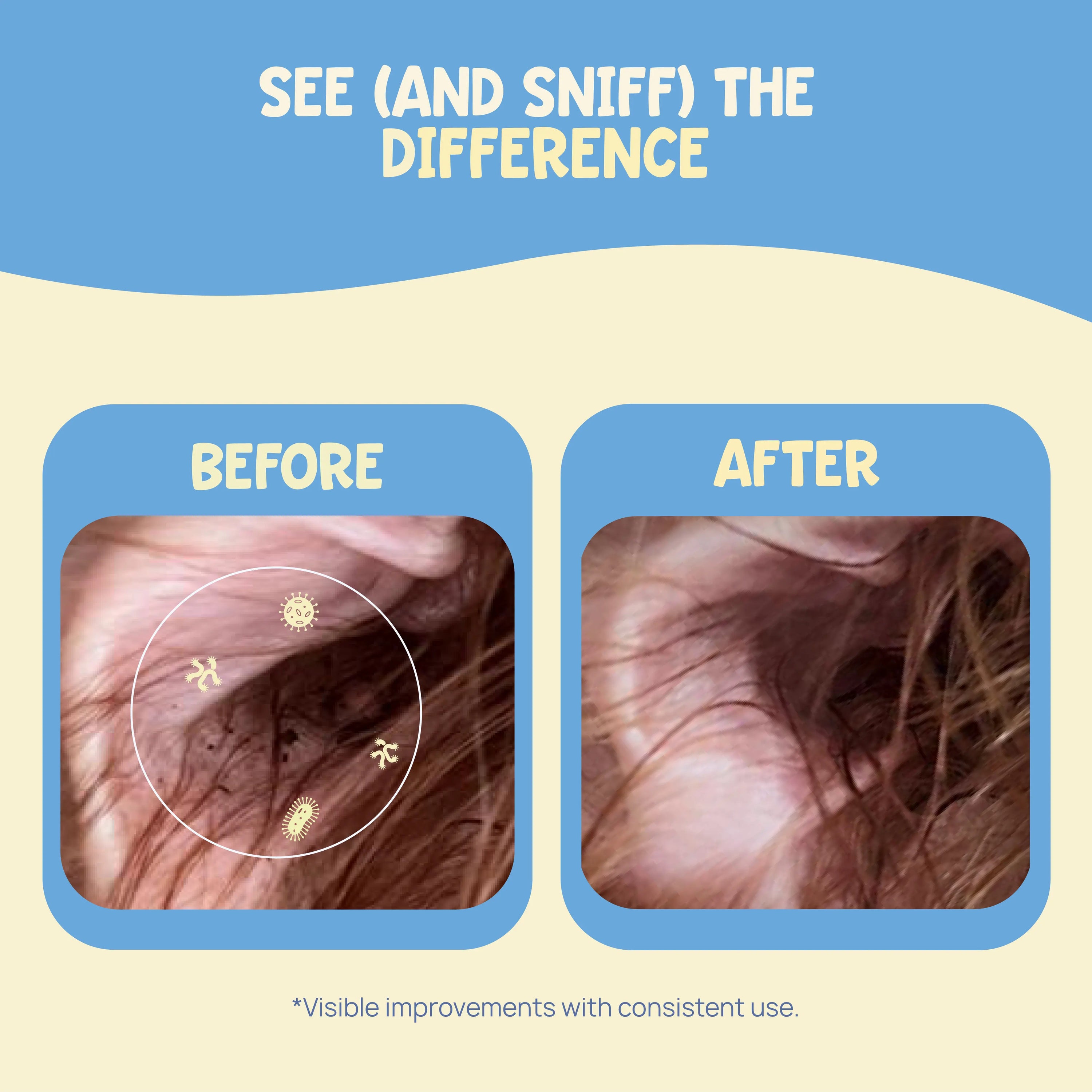 Before and after results of using Forri ear care wipes to clear debris and support healthy, clean pet ears.