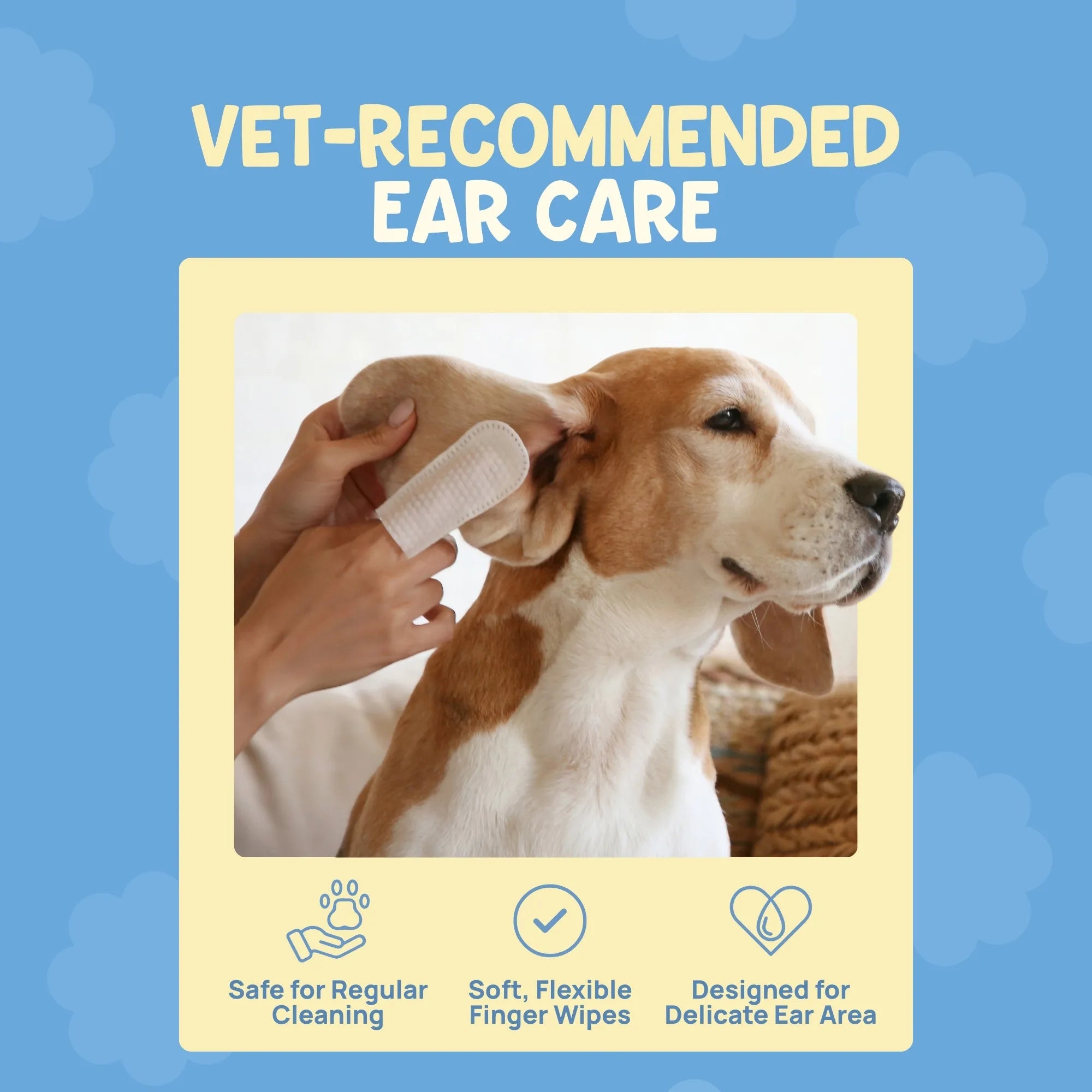 Close-up of Beagle ear cleaning with soft, flexible finger wipes designed for delicate and sensitive ear areas.