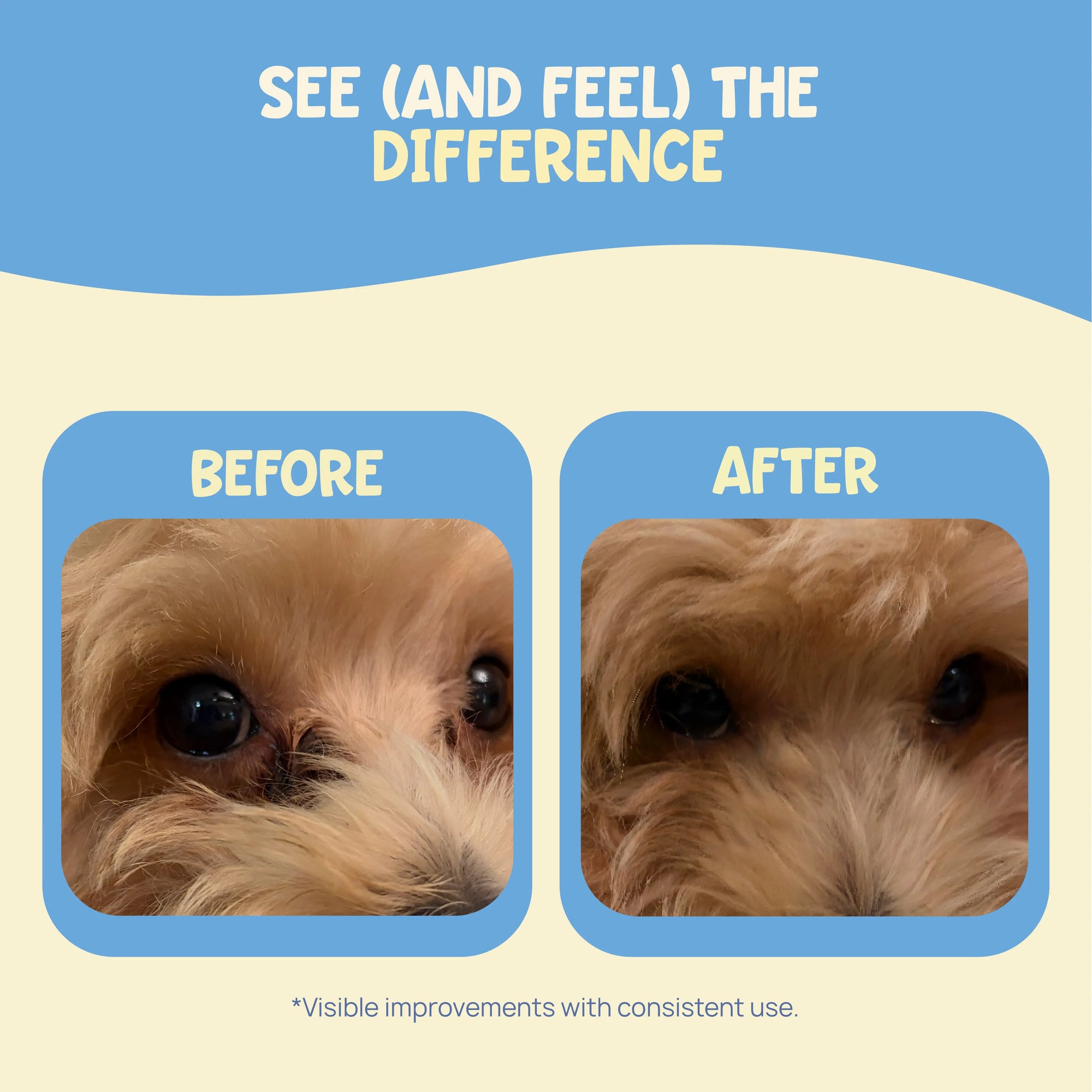 Before and after results of using Forri eye wipes to clear stains and support daily pet eye hygiene.