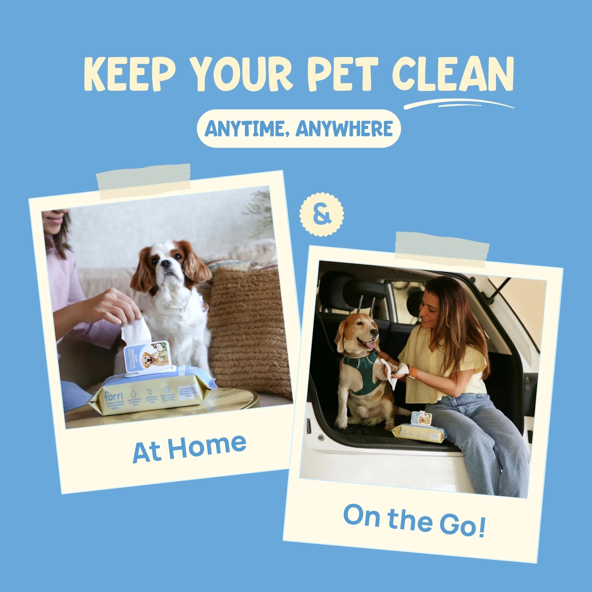 Portable pet wipes for travel and home use, ideal for cleaning dog paws in the car or after walks.