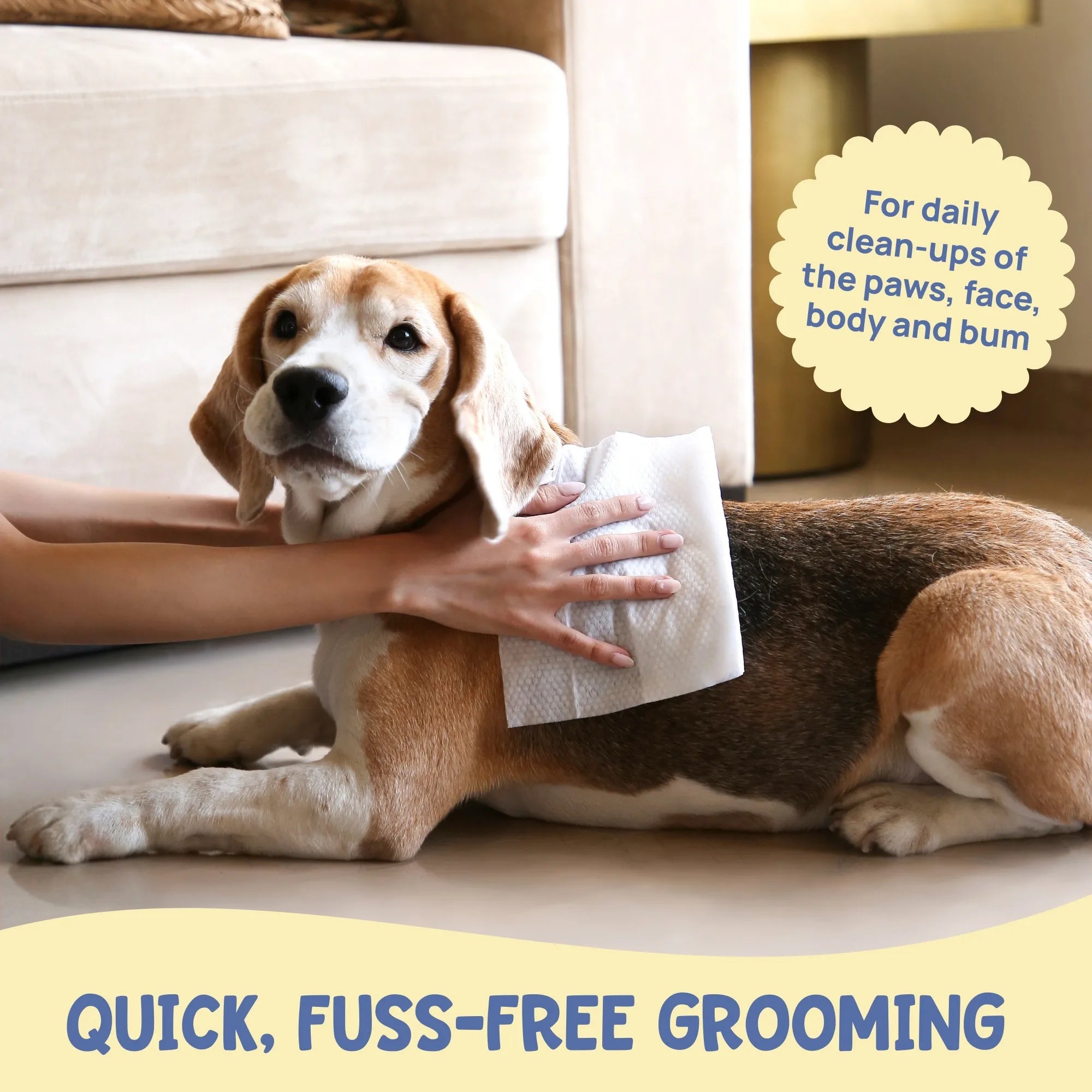 Dog being groomed with a wipe. Quick fuss-free grooming wipes for paws, face, body, and bum; perfect for daily pet clean-ups.