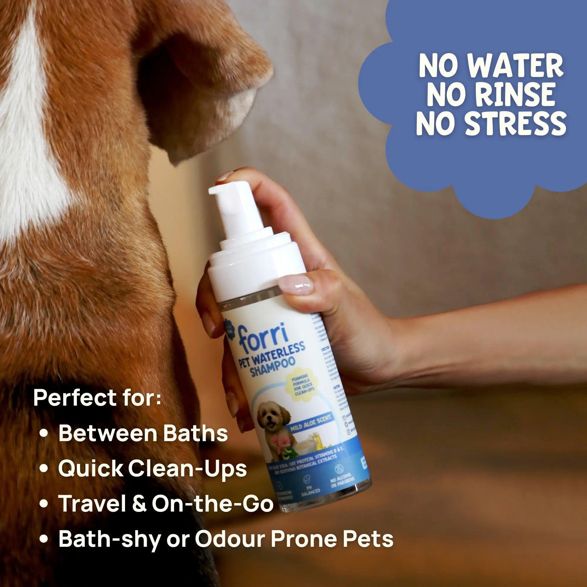 Dog being groomed with a bottle of forri pet waterless shampoo, highlighting its benefits for bath-shy dogs and odour-prone pets on the go.